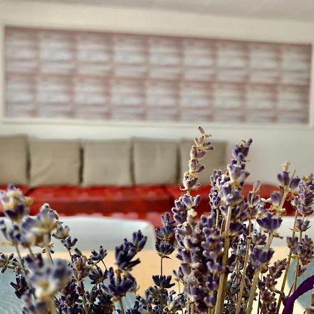 Grinda House - City Center Park And Stay 브라쇼브 외부 사진