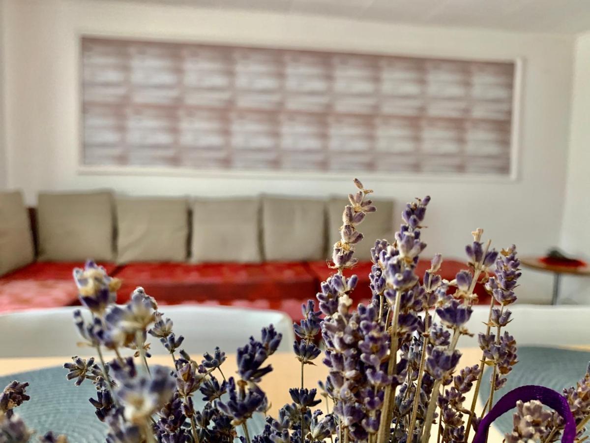 Grinda House - City Center Park And Stay 브라쇼브 외부 사진