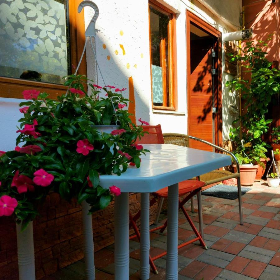Grinda House - City Center Park And Stay 브라쇼브 외부 사진