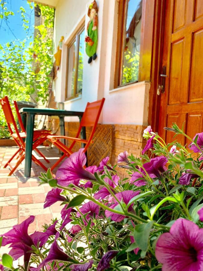 Grinda House - City Center Park And Stay 브라쇼브 외부 사진